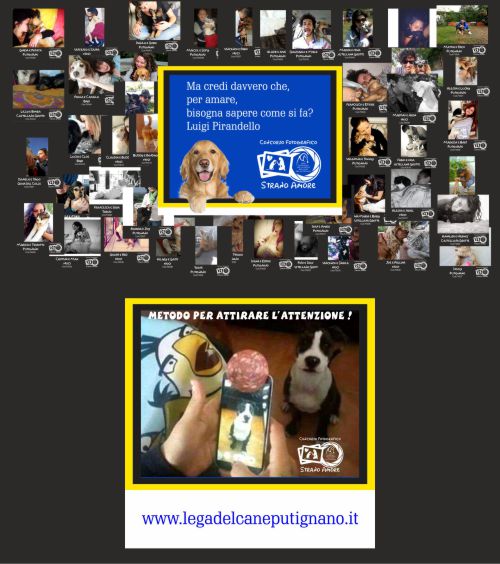 Concorso fotografico