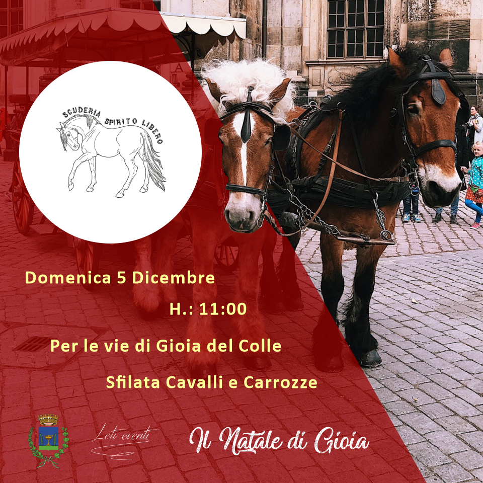Natale di gioia